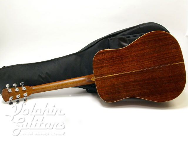 MORRIS M-LTD|ドルフィンギターズ