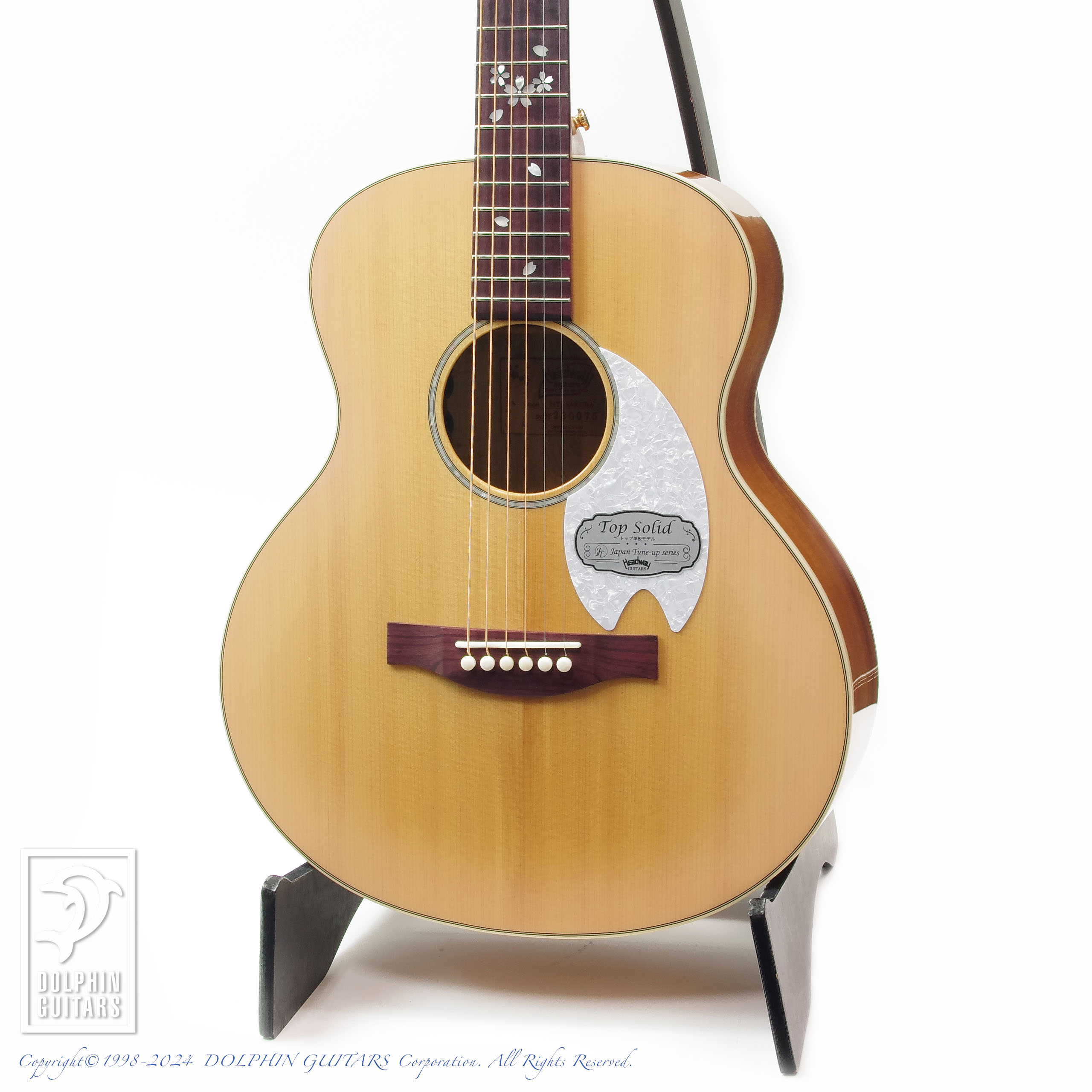 HEADWAY HTJ-SAKURA|ドルフィンギターズ