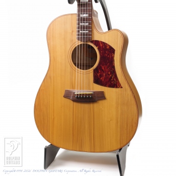 COLE CLARK FL2AC|ドルフィンギターズ