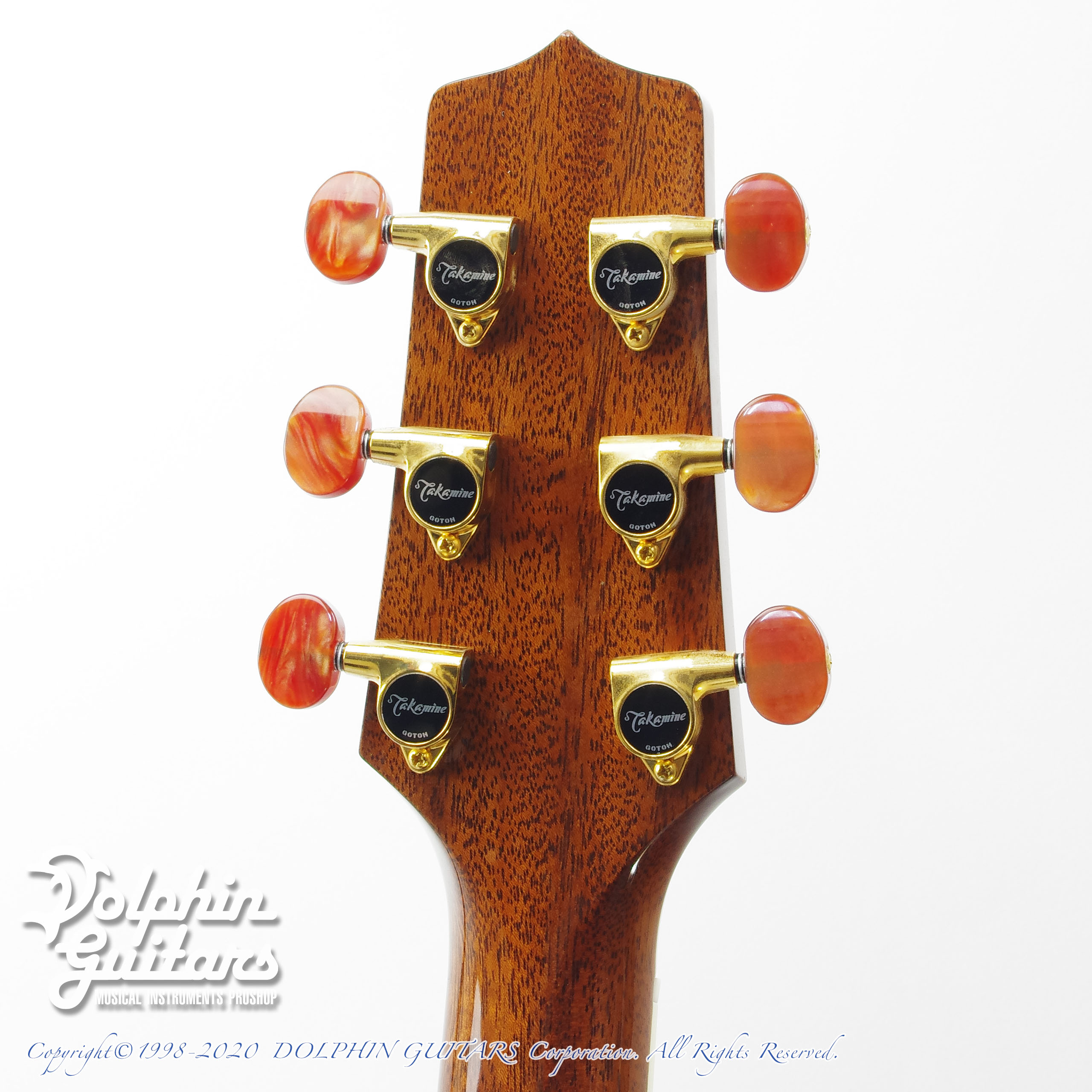 TAKAMINE DMP50S|ドルフィンギターズ