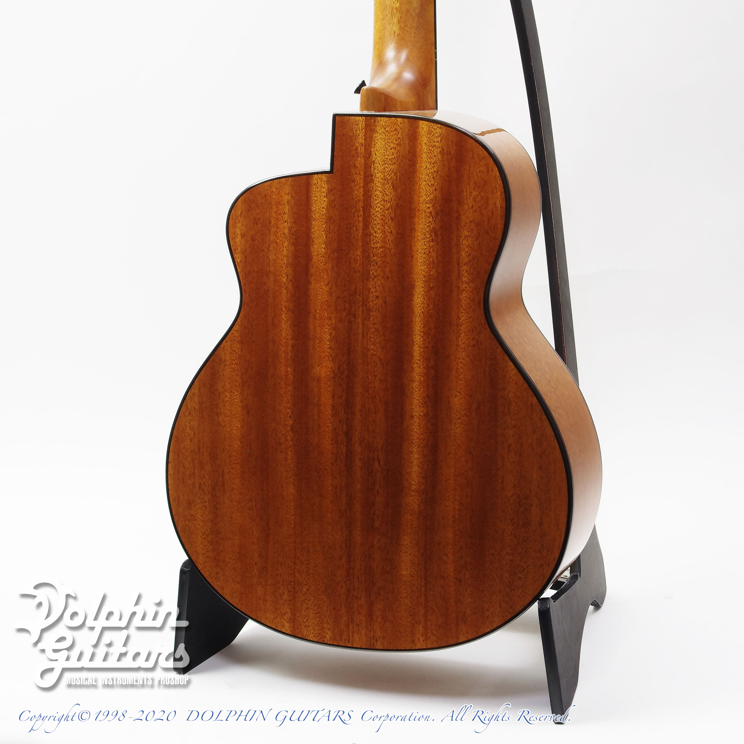 aNueNue Bird aNN-M12|ドルフィンギターズ