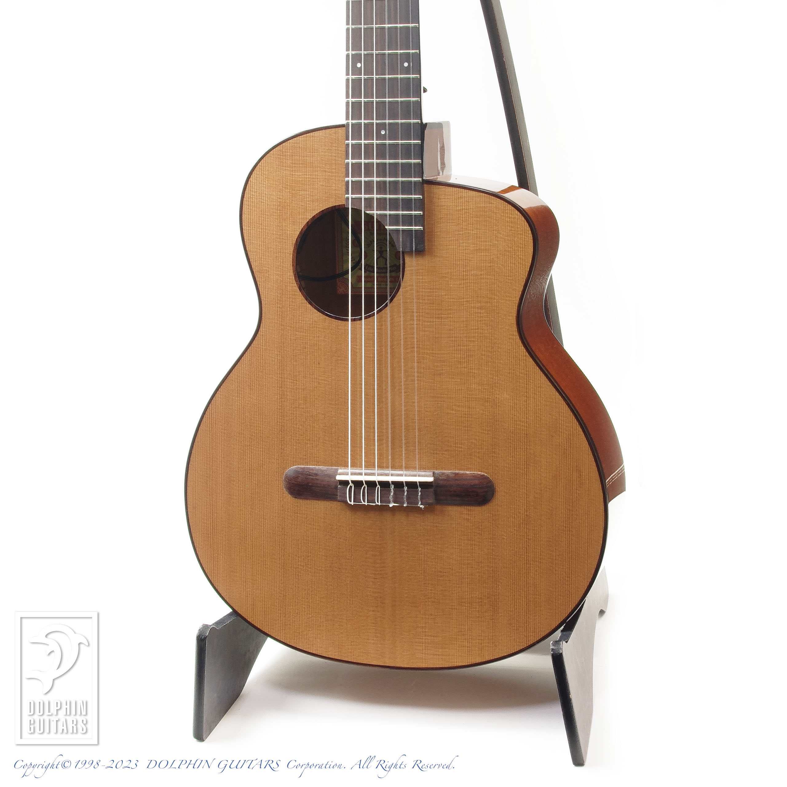 aNueNue aNN-MN14E (Electric Nylon Strings)|ドルフィンギターズ