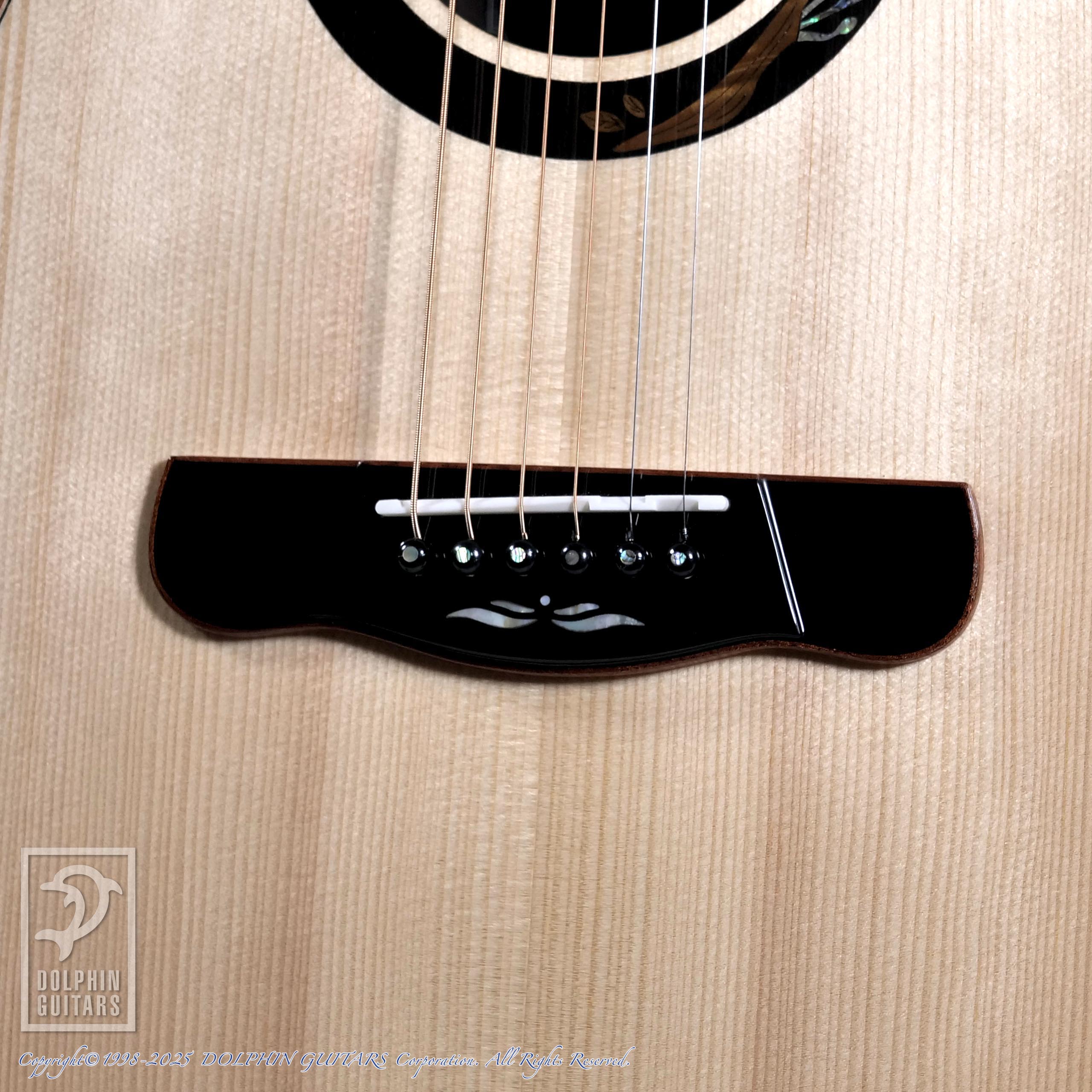 Merida A18GAC2|ドルフィンギターズ