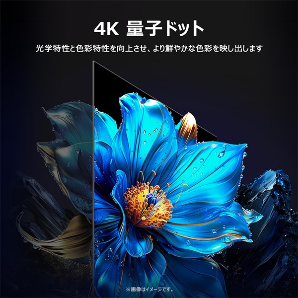 情熱価格×TCL QLED 55型4Kスマート液晶テレビ｜AV/音響/イヤホン｜商品