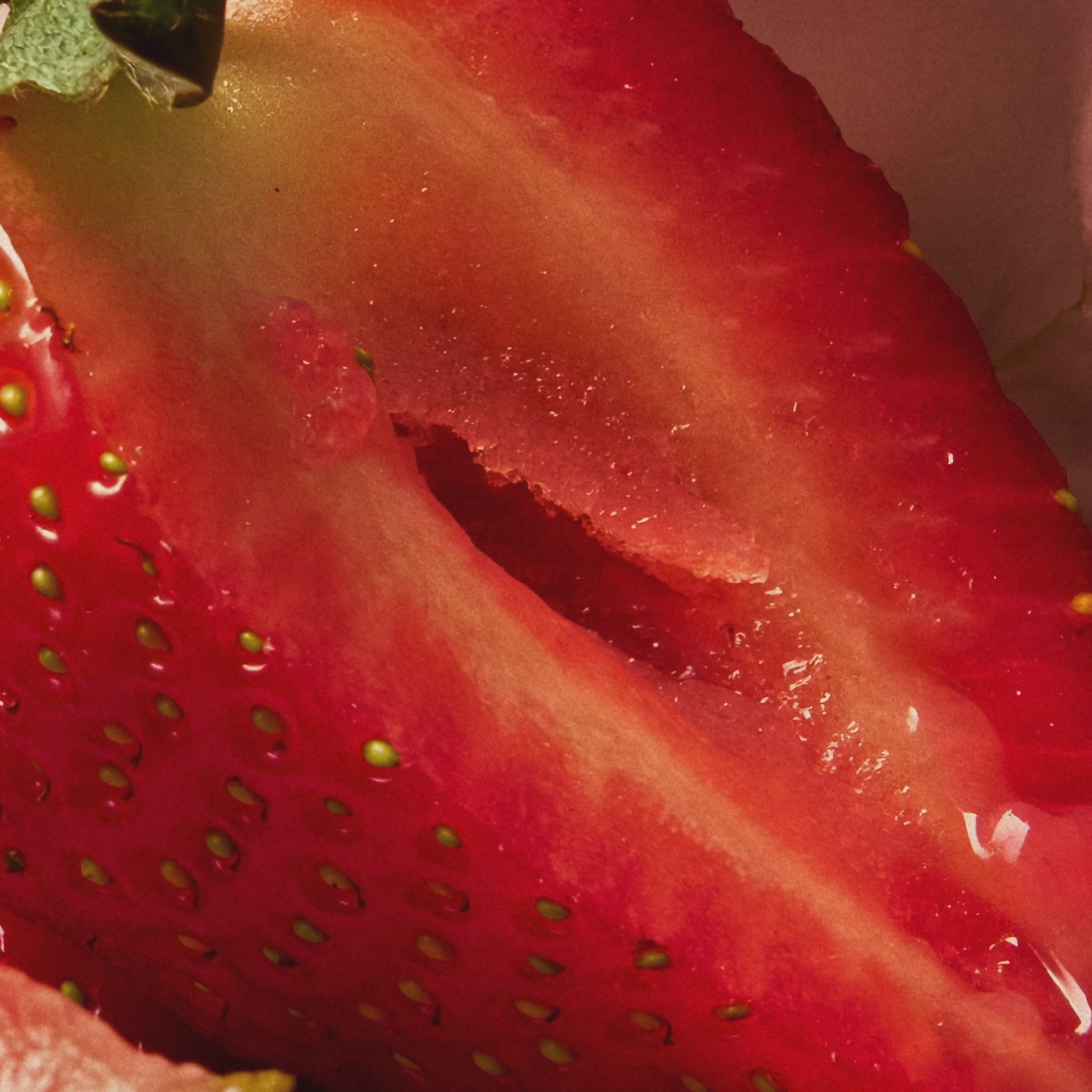 Extrait de Parfum HOLY BERRY | Unisex Fruity Fragrance – Maison D