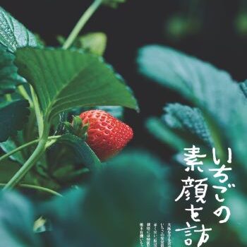NEWS大地を守る3月号】いちごの素顔を訪ねて | 野菜宅配・有機野菜をお