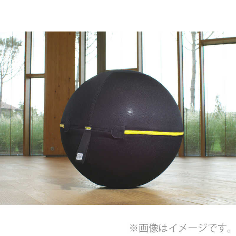 WELLNESS BALL ACTIVE SITTING （55cm