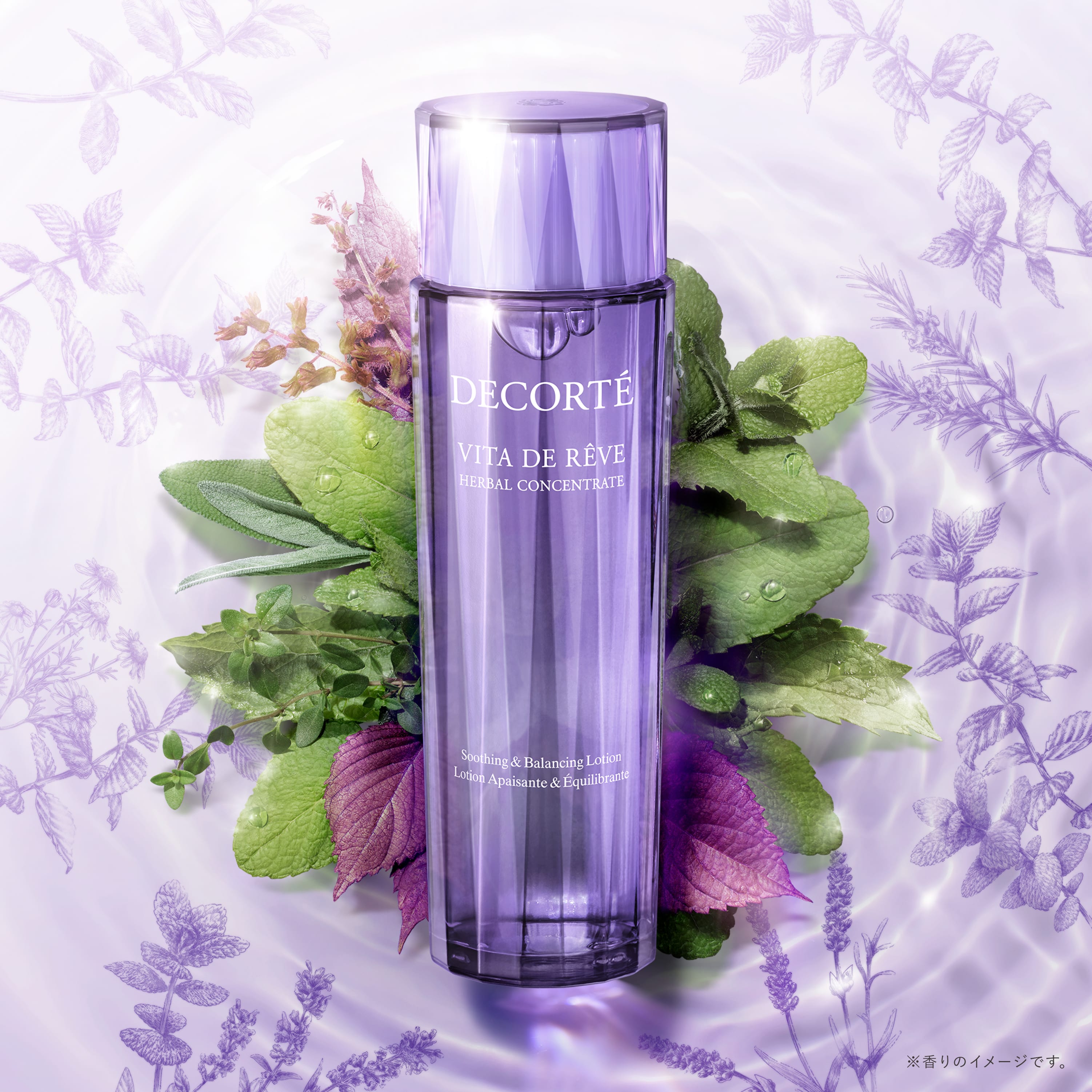 ヴィタ ドレーブ ハーバル ローション ＜150mL＞ | DECORTÉ（コスメ