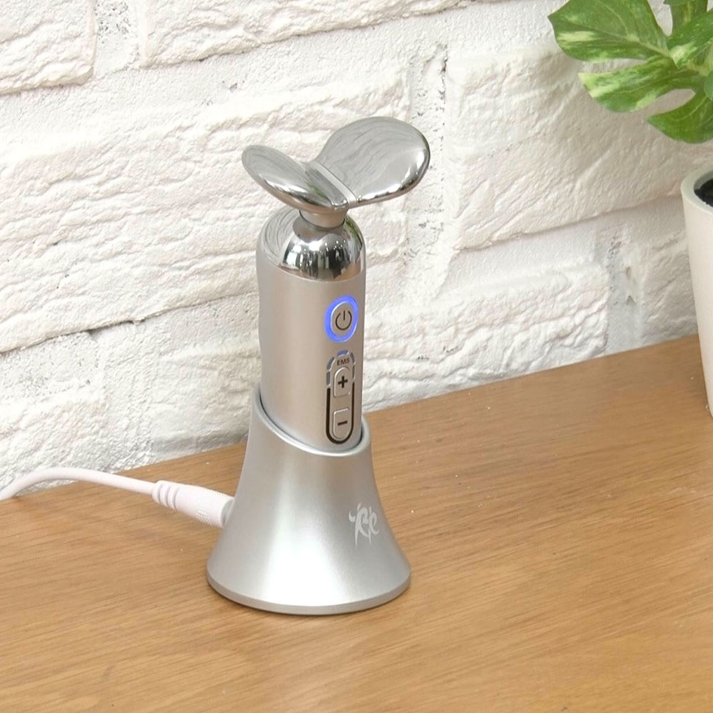 スタイリーフェイス ディノスANAmall店