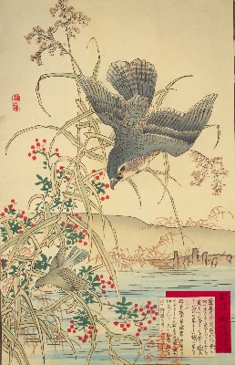 幸野楳嶺の花鳥画譜 | NDLイメージバンク | 電子展示会