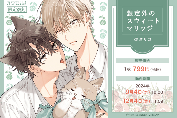 限定描き下ろしイラストを使用した「想定外のスウィートマリッジ」の
