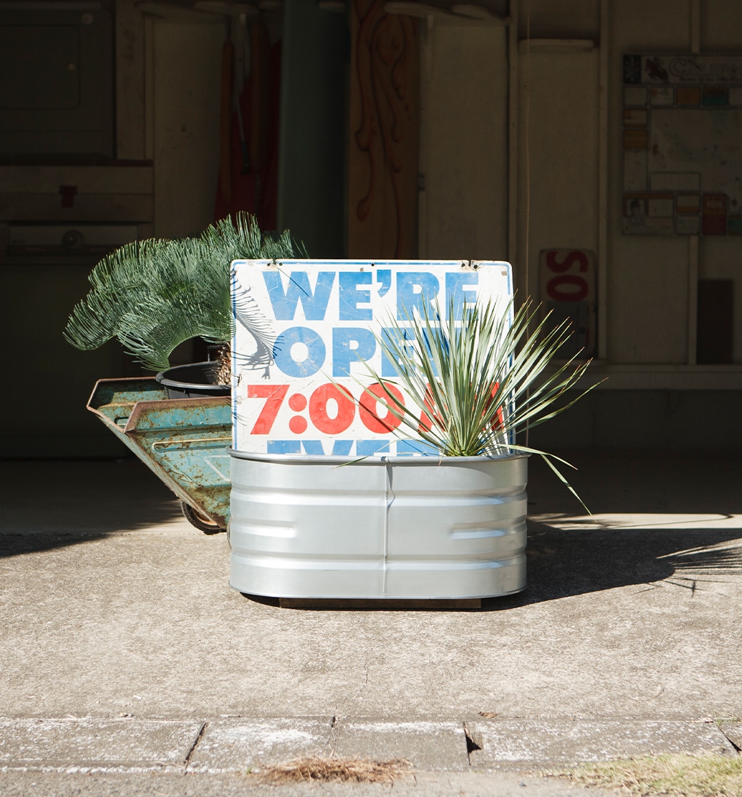 個性溢れるポット・プランター | 豊富なバリエーション