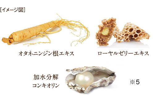 カルディ クリーム コンセントレート［美容クリーム］ | アクティブ