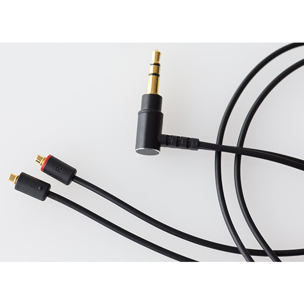 final B2 【FI-B2BSSD】 – e☆イヤホン