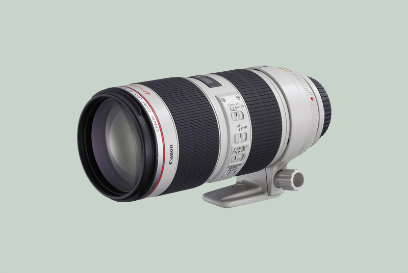 棘 (トゲ) Canon EF 70-200mm 1:2.8 L Canon EF 70-200mm f/2.8L IS