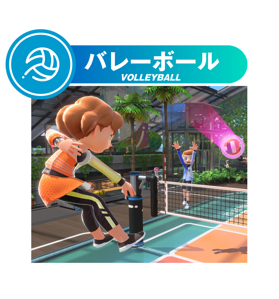 任天堂 HACRAS8SA Nintendo Switch Sports【Switch】 |エディオン公式通販