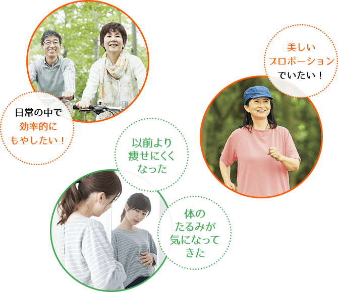 ファットファイヤー｜商品情報｜株式会社エリナ