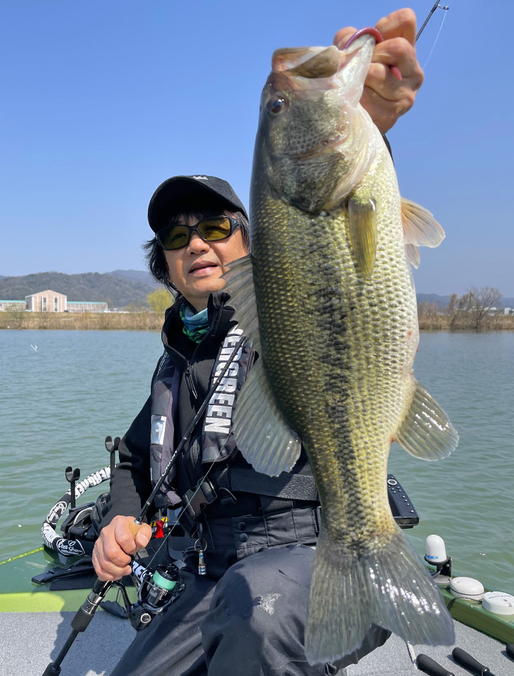 EVERGREEN（エバーグリーン インターナショナル） - OCSS-65L ウィロー