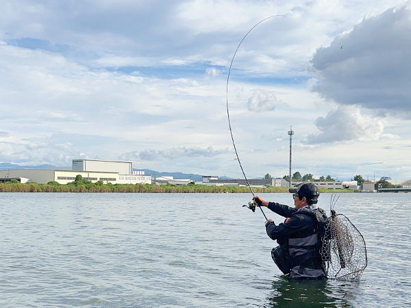 EVERGREEN（エバーグリーン インターナショナル） - ZAGS-96ML/M+