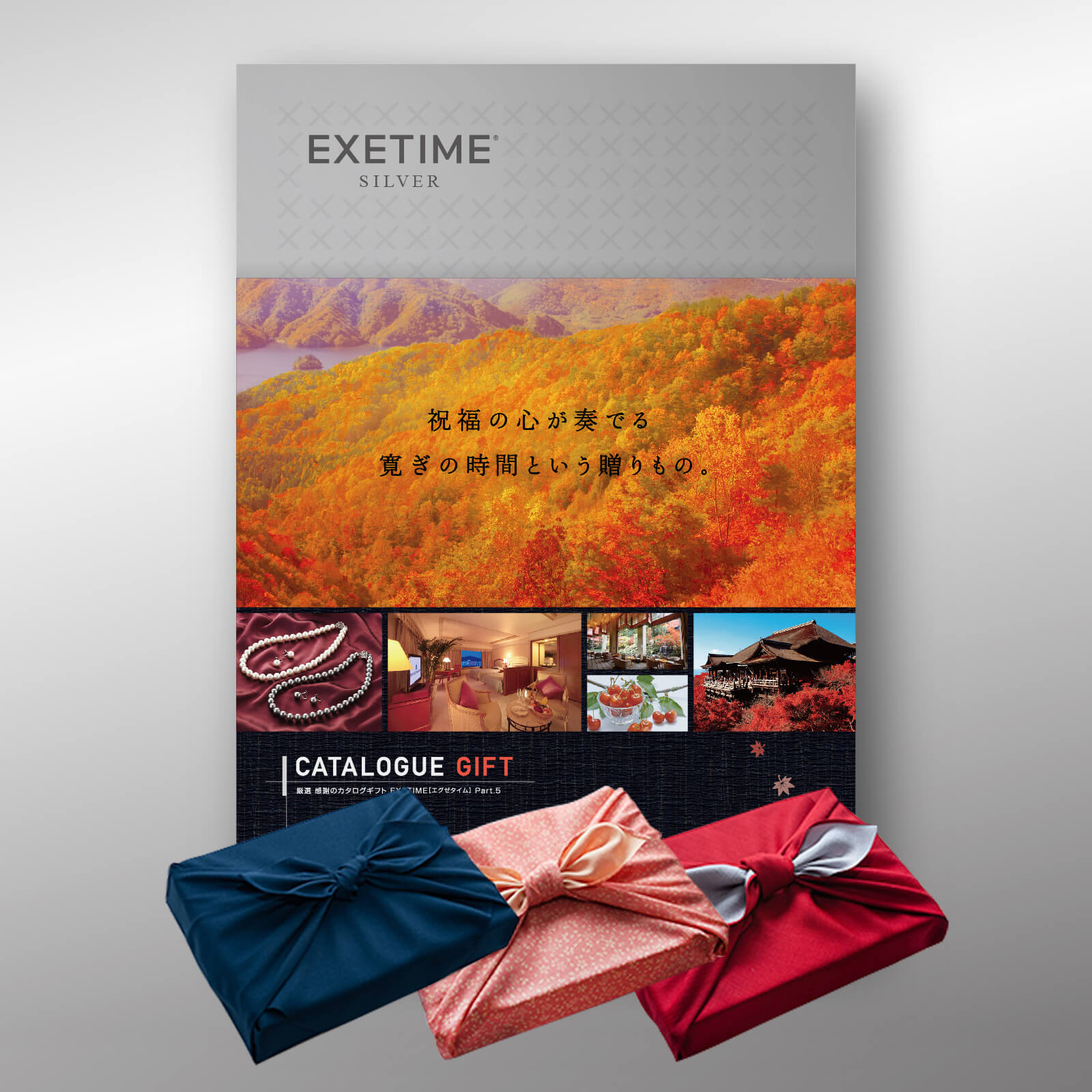 EXETIME(エグゼタイム)SILVER|温泉・体験型商品満載の旅行カタログ