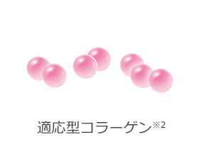 化粧品】BC ナイトインテンシヴ クリーム│ファンケルオンライン