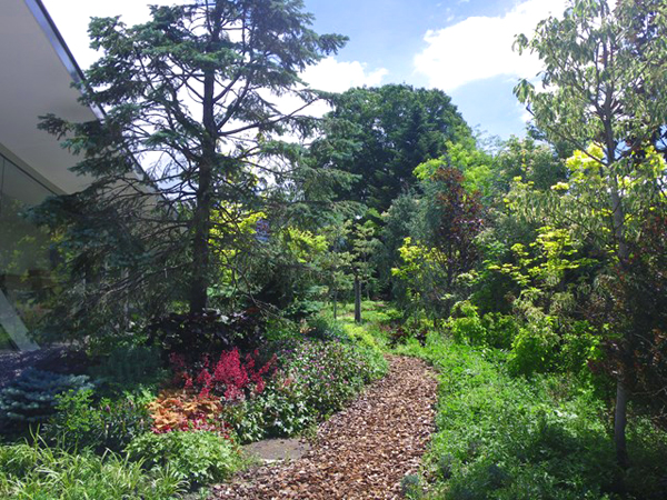 軽井沢千住博美術館①｜ガーデニング（緑化・造園・花壇）【花門