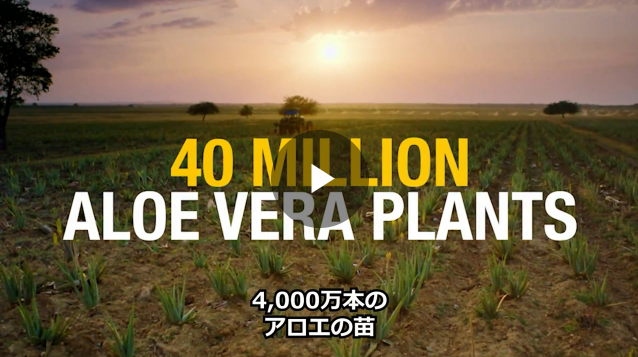 フォーエバーリビングプロダクツ ジャパン