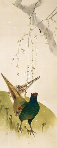 糸桜に双雉之図 | 渡辺省亭 | 収蔵品詳細 | 作品を知る | 東京富士