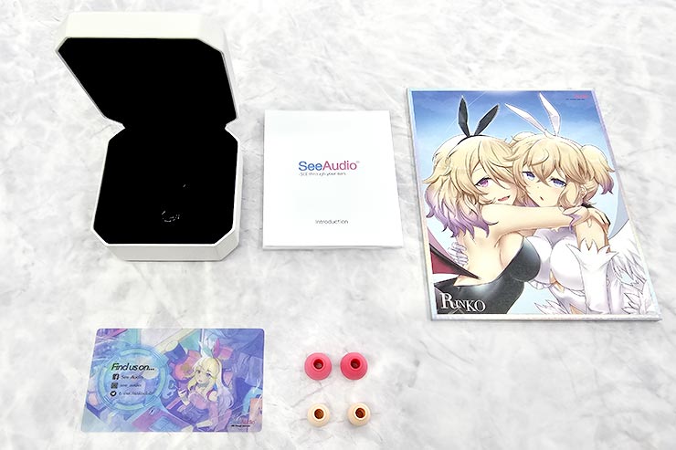 SeeAudio Rinko レビュー | 絶妙なチューニングが施されたコスパの高い