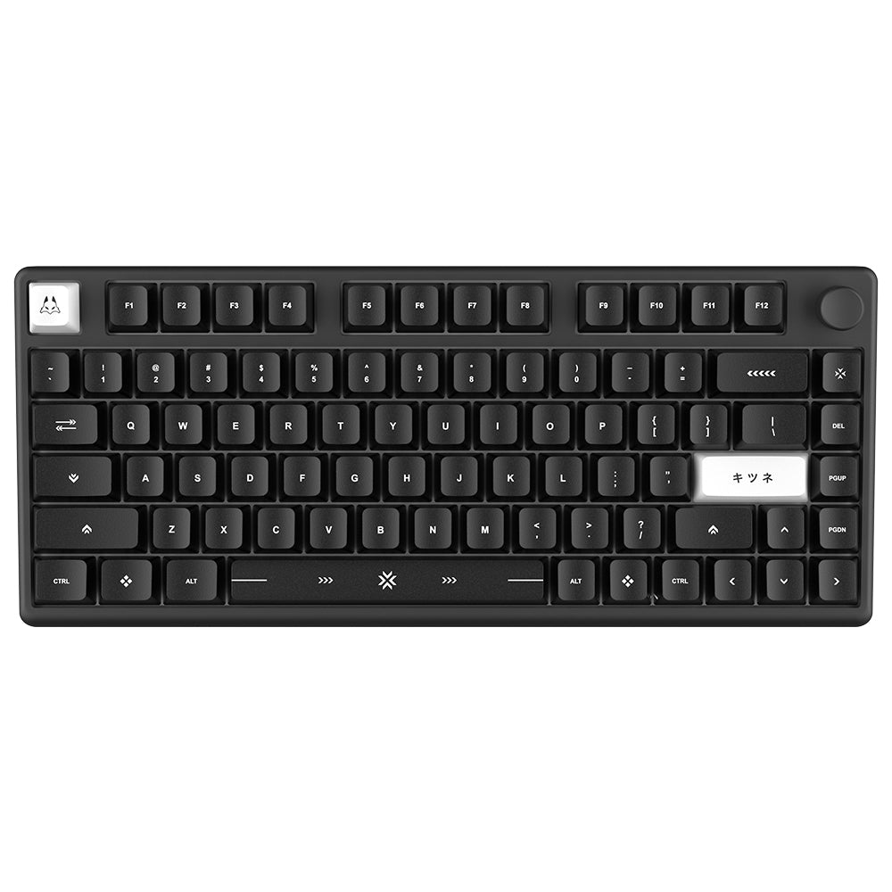 Arbiter Studio (アービタースタジオ) TENKO Polar 75 + 磁気