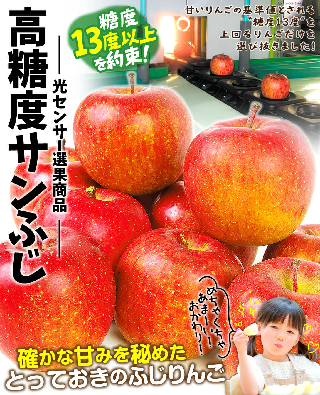 国華園オンラインショップ / りんご 3kg 糖度13度以上 高糖度サンふじ