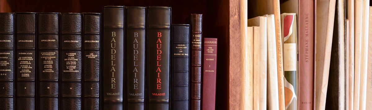 ゴットフリート・ベン詩集 海外の詩人双書5｜ 1959年初版・書肆