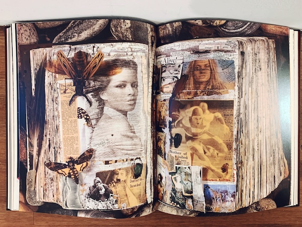 ピーター・ビアード写真集 PETER BEARD: Fifty Years of Portraits