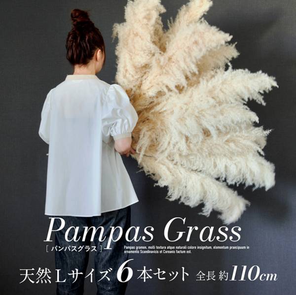 Pampas Grass(パンパスグラス) 110cm 6本セットの通販情報 - 家具通販