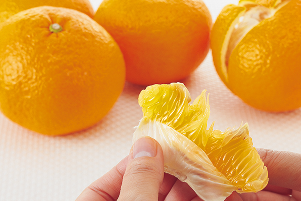 甘夏 | みかん大事典 | みかんのことなら「のま果樹園」 [ Produced by