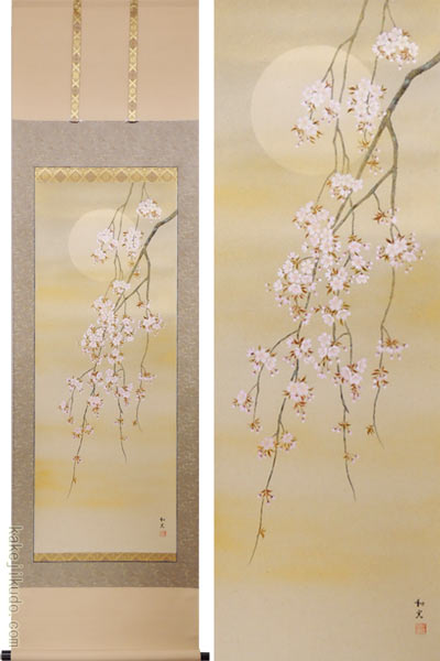 掛け軸 枝垂れ桜 （三宅和光） 送料無料 【掛軸】【一間床・半間床