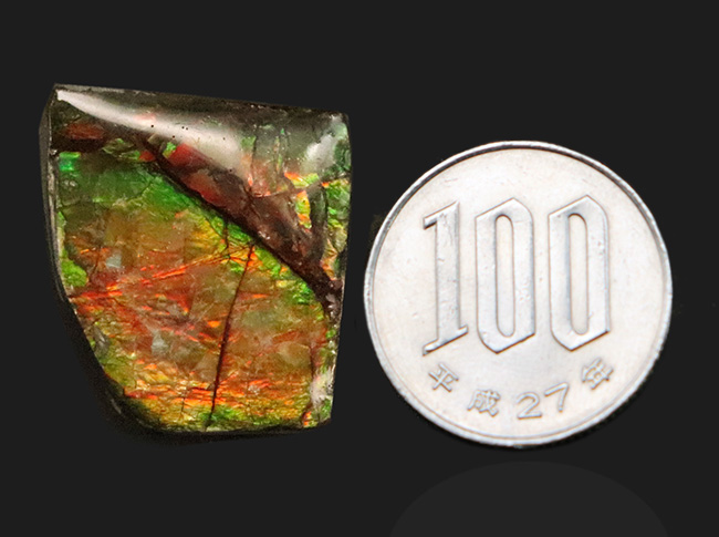 ミクロな遊色層が生み出す極彩色の世界……カナダ・アルバータ州の公式の