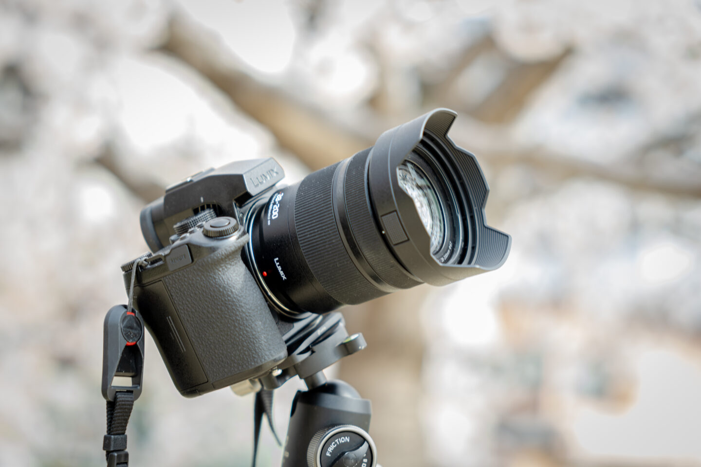 パナソニック LUMIX S 28-200mm F4-7.1 MACRO O.I.S レビュー｜葛原