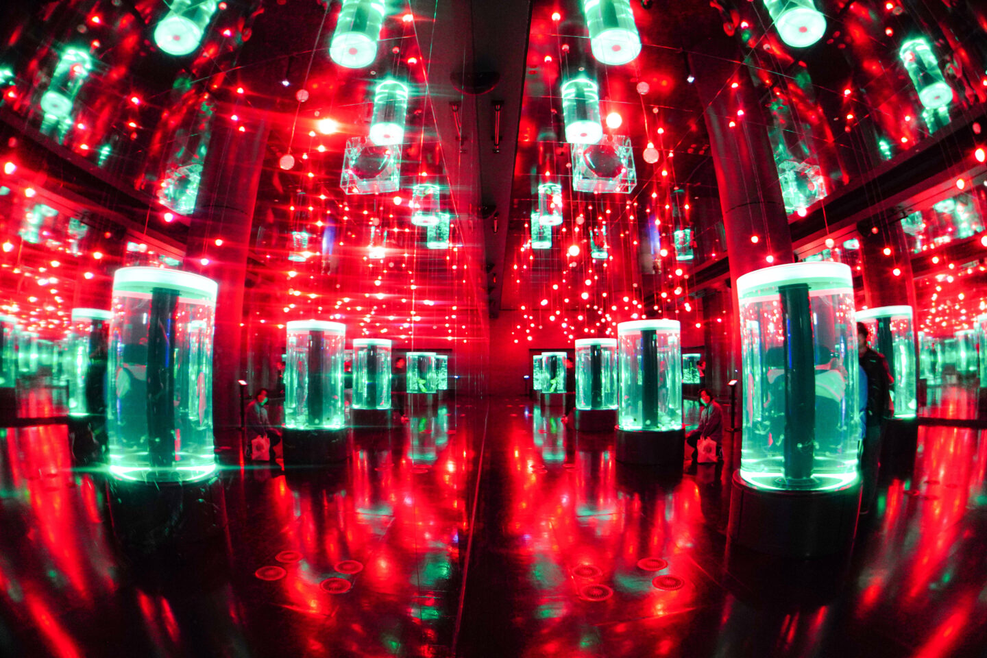 ジャンク】フィッシュアイコンバーター ソニー「VCL-ECF1」を使って