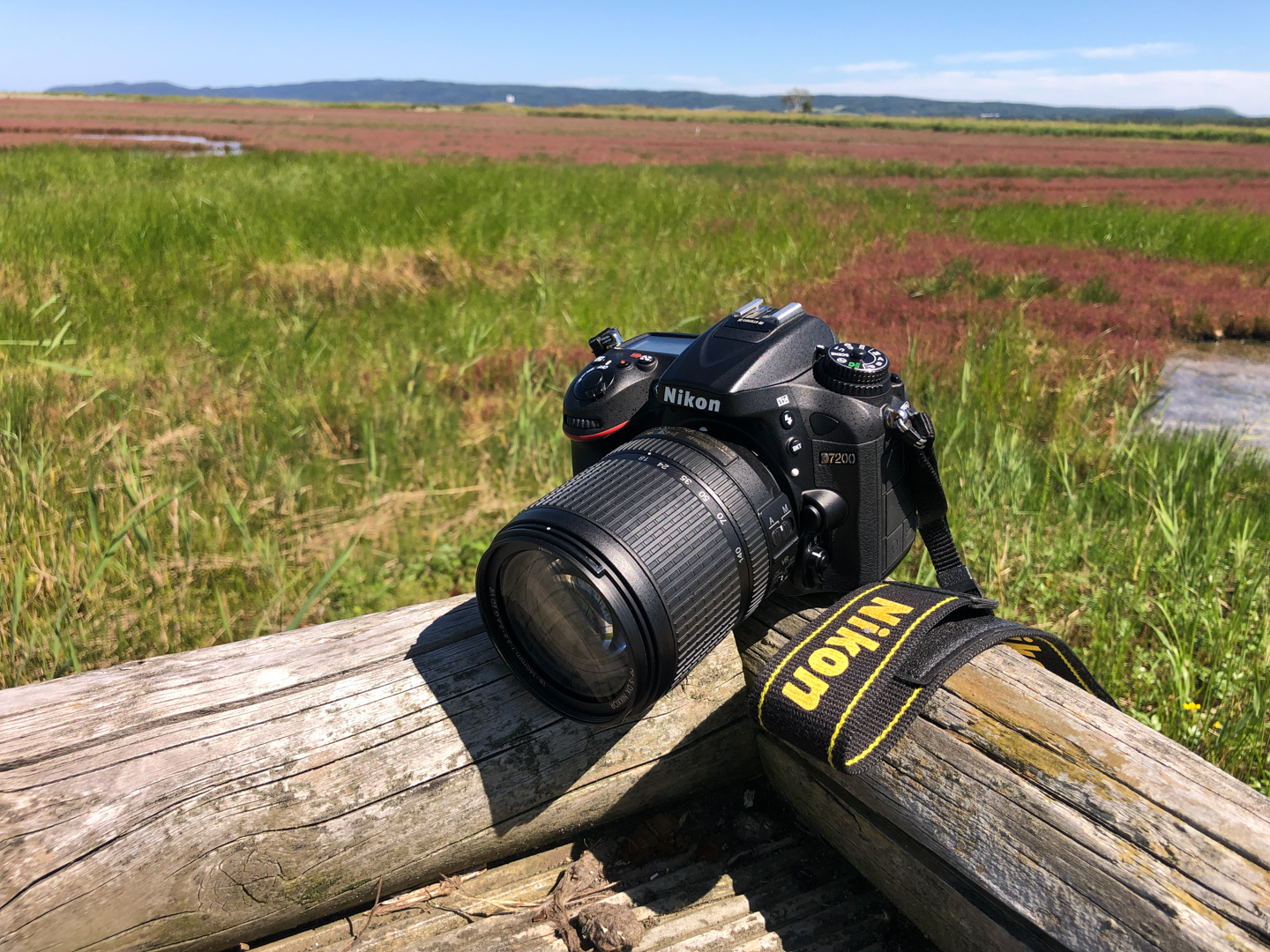 ネイチャースナップのすすめ｜ニコン D7200で探す秋の気配 | ShaSha