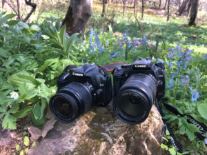 ネイチャースナップのすすめ｜旧モデルで始める一眼レフ キヤノン EOS