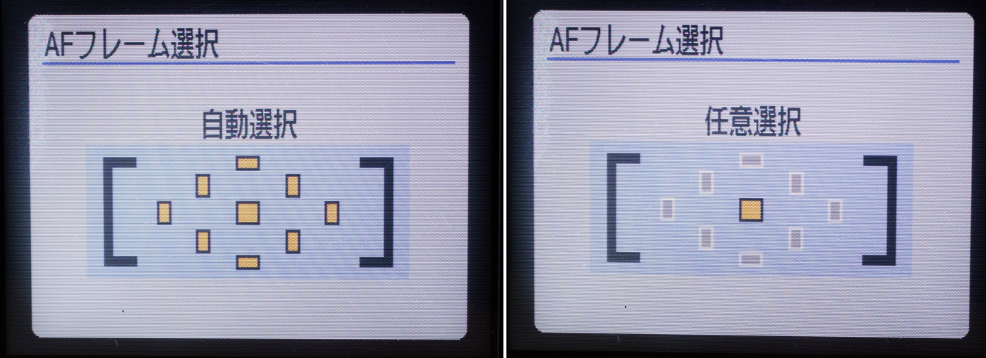 ネイチャースナップのすすめ｜格安中古で学ぶ一眼レフの基礎【ピント編