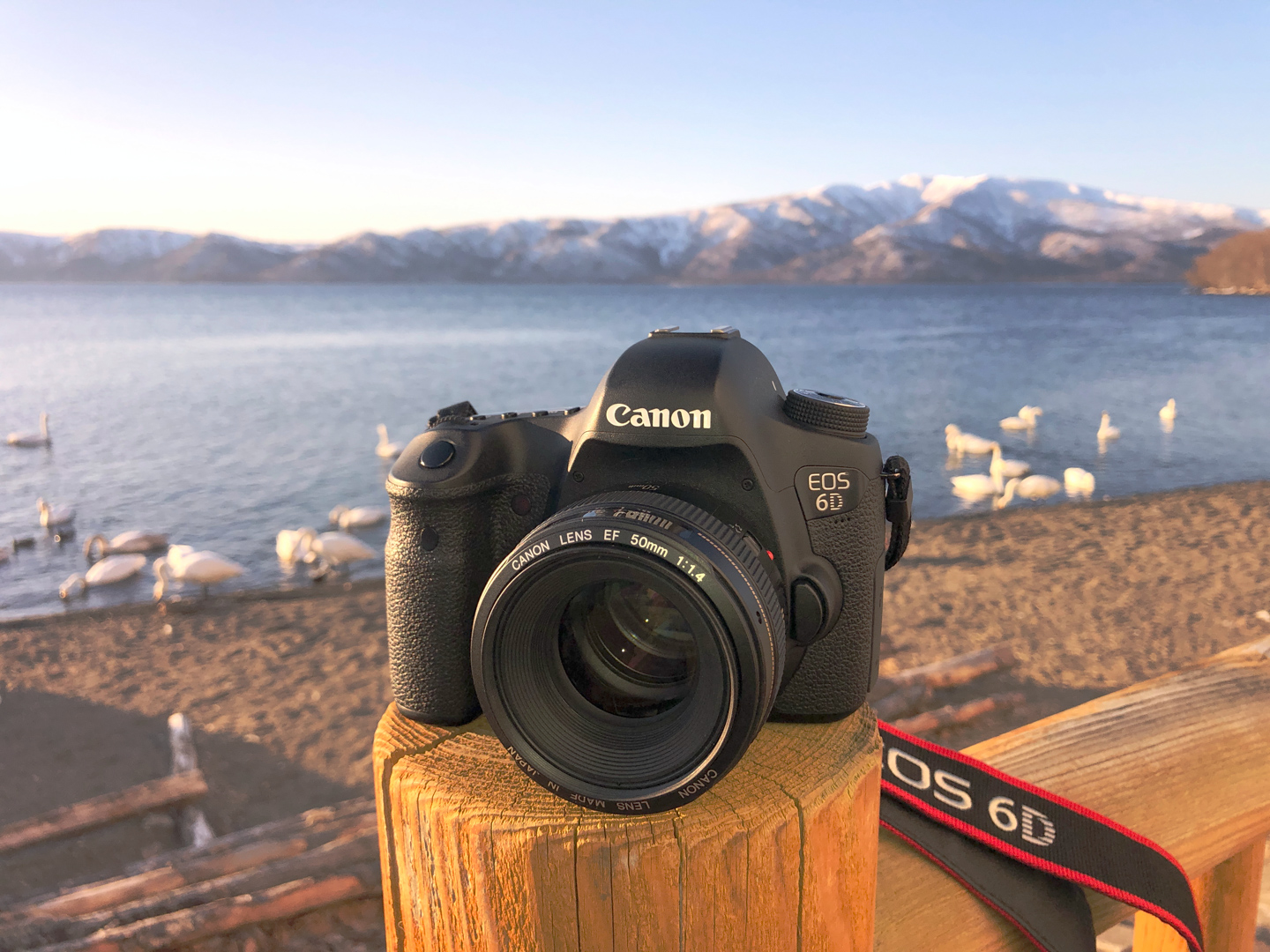 ネイチャースナップのすすめ｜旧モデルで始める一眼レフ キヤノン EOS