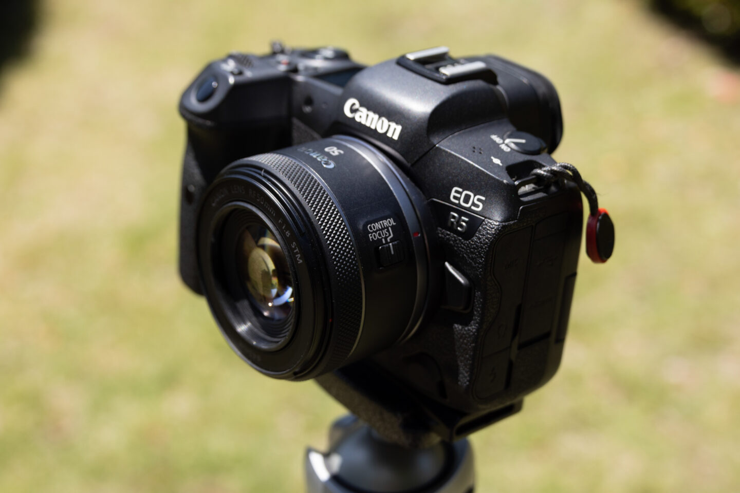 キヤノン RF50mm F1.2 L USMとRF50mm F1.8 STMを比較レビュー｜自然