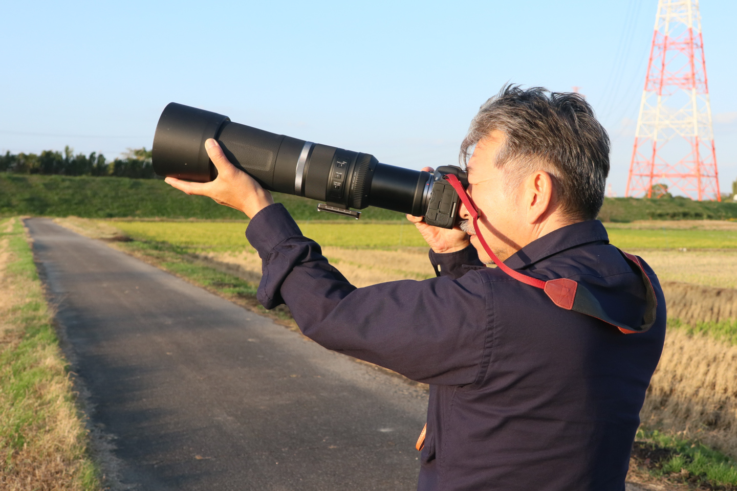 キヤノン RF600mm F11＆RF800mm F11 レビュー｜野鳥撮影に最適なお手軽