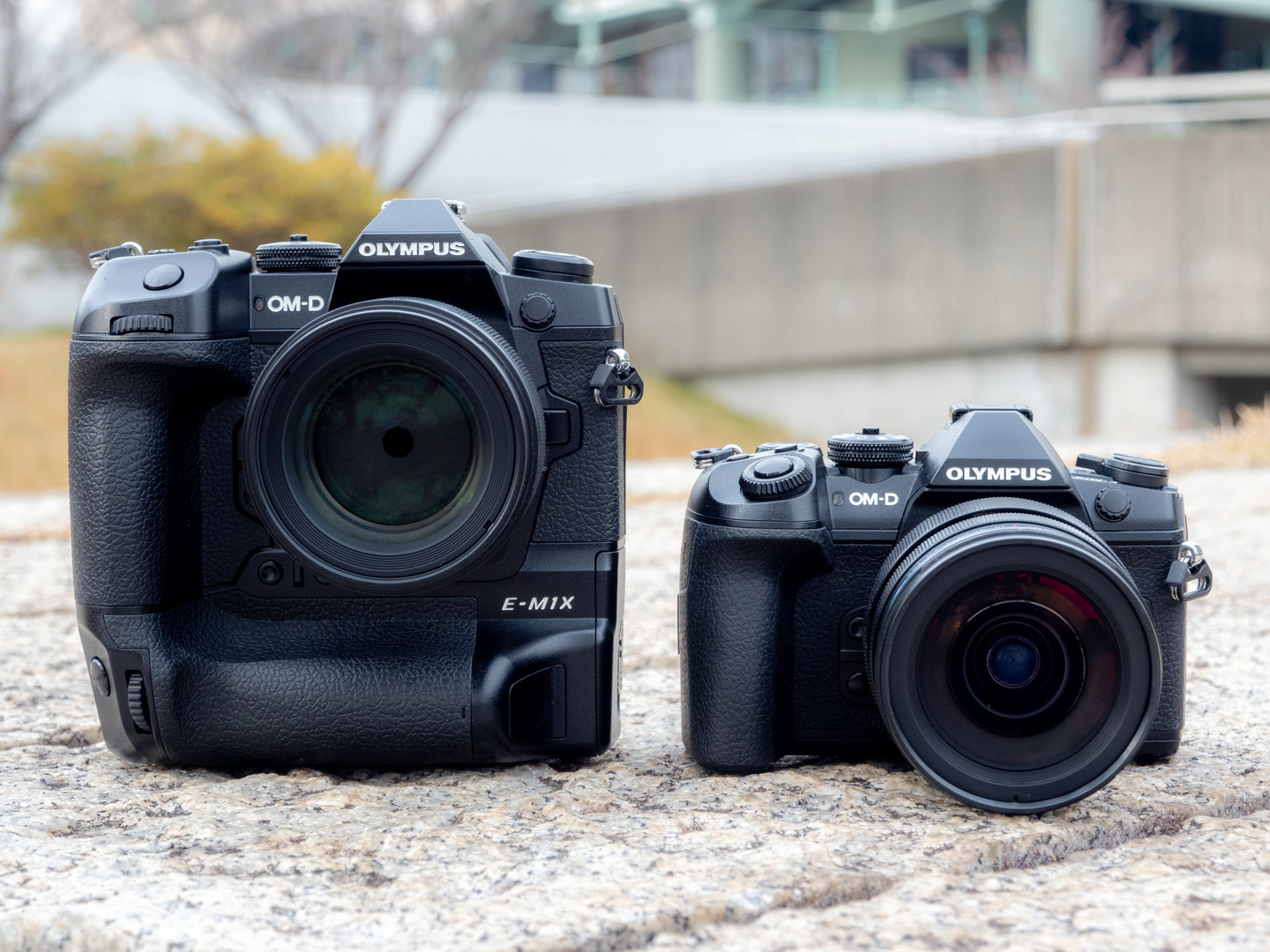 オリンパス OM-D E-M1X レビュー｜持てる力を全て注ぎ込んだプロ