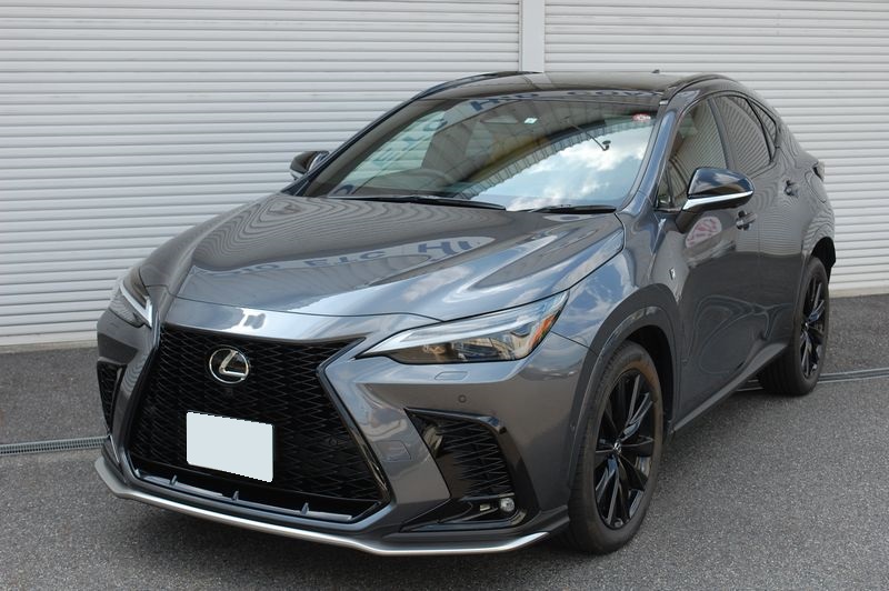 レクサス NXにブルーバナナ99TV/ナビコントローラーと、アクティブ