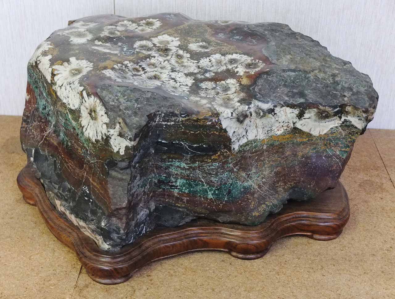 菊花石コレクション 石原コレクション 2