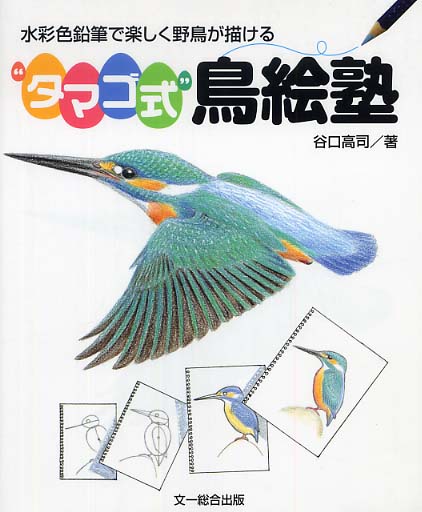 タマゴ式”鳥絵塾 / 谷口 高司【著】 - 紀伊國屋書店ウェブストア