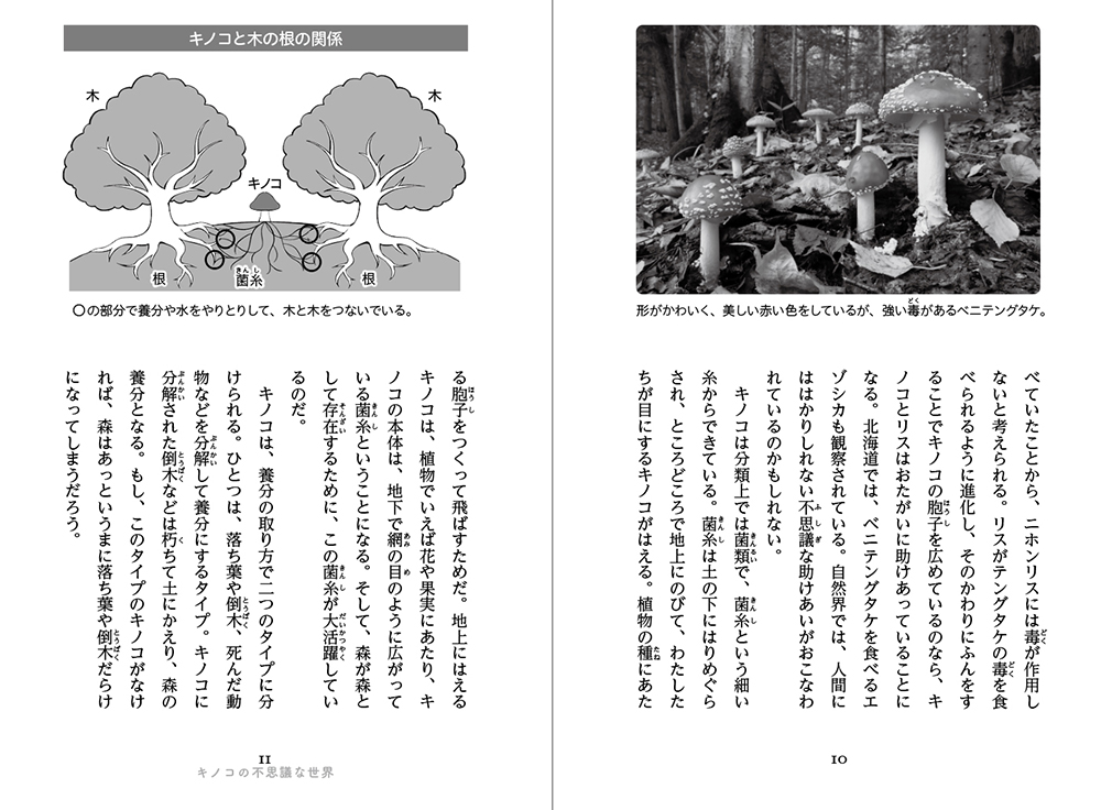 摩訶不思議！ 植物のチカラ (5分後に世界のリアル) ：永山多恵子 - 金